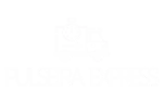 pulseira-express-1.png